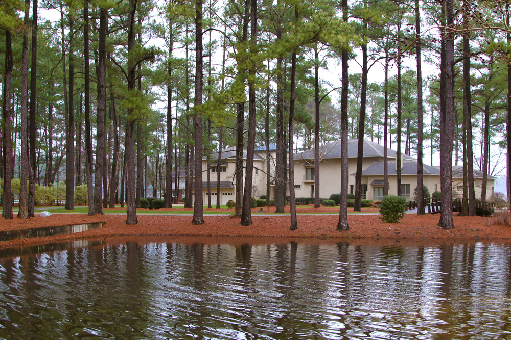 Common Causes of Roofing Damage to Florida Homes in the Fall